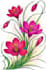 draw botanical illustrations of flowers
