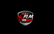 do professional automotive logo design