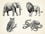 draw a hedcut wsj style  animals illustration