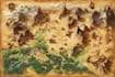 illustration fantasy map illustration