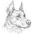 draw custom pet portrait in line art vector illustration
