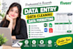 clean data, data formatting