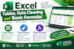 create, format and organize excel spreadsheets