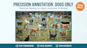 do accurate data annotation and labeling
