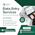 do accurate data entry, copy paste, excel data entry jobs
