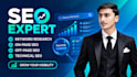 provide professional SEO services