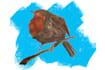 draw stylised birds in mixed mediums