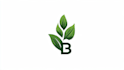 create beautiful hand drawn botanical boho logo