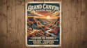 create professional poster designs