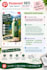 create pinterest pins and optimize them for SEO