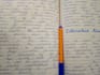 handwrite your english assignments neatly and professionally