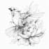 design a delicate custom fine line tattoo