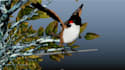 rig and create 3d game character and creature animation