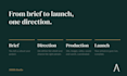design write and launch your complete business website