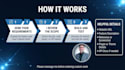 develop custom wordpress functionality or plugins