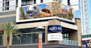 create 3d anamorphic ads for billboards, stadiums and led screens display