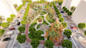 render 3d urban park master plan,vray landscape site layout,courtyard design,dwg