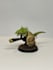 paint your warhammer miniatures and models