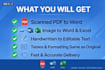 convert scanned pdf, image, handwritten to word and excel