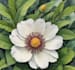 create a realistic botanical drawing