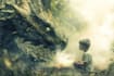 do a photo manipulation