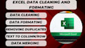 cleaning excel data , formatting and designing excel spreadsheet