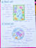 create clear cell structure notes with diagrams