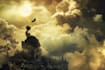 photo manipulation and editing