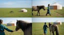make ai film making and creative ai advertisement