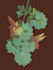 do some pokemons illustrations