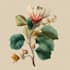 draw botanical illustration flower, plant