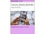 audit your instagram account in 24 hours