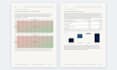 perform business valuation and financial forecasting