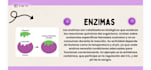 desing a creative and professional canva presentation
