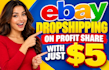 do ebay dropshipping on profit share