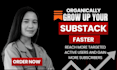 do organic substack promotion for substack subscriber growth