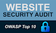 perform website penetration testing and vulnerability assessment