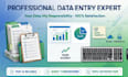do data entry , excel typing
