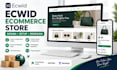 design setup and redesign your ecwid ecommerce dropshipping store