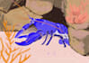create customised animal illustrations