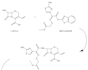 create scientific diagrams and chemical structures