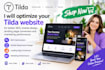 optimize tilda website SEO landing page conversion mobile design  performance
