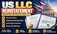 do US llc or corp reinstatement, amendment, dissolution, file llc annual report