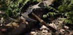 make photorealistic 3d environment in unreal