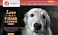 design squarespace animal rescue website pet adoption website donation site