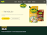 build a responsive wordpress website for your business