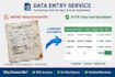 do accurate data entry excel copy paste and web research