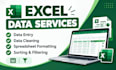 do excel data entry, spreadsheet cleanup and formatting