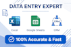 do data entry, excel data cleaning, google sheets and crm management