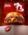 create custom and proffessional  graphic designs